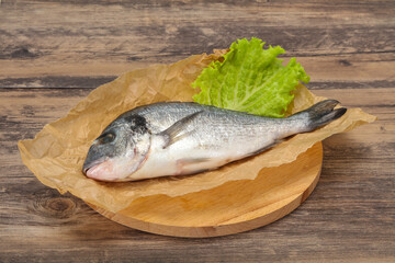 Raw Dorada fish  for cooking