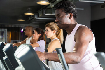 Fototapeta premium Athletic people running on elliptical trainer in a fitness club