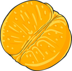 Half a peeled fresh juicy orange on a white background. Stylized freehand drawing. Vector image.