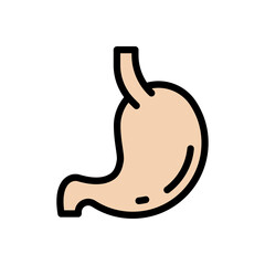 Fototapeta premium stomach