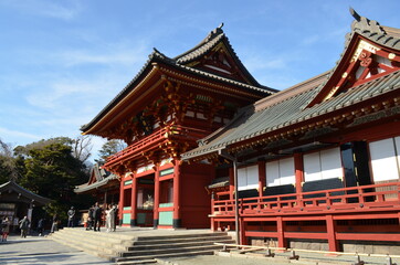 Fototapeta premium 鶴岡八幡宮