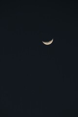 Obraz na płótnie Canvas waning moon in the night