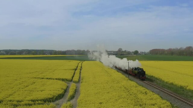 Lufbildaufnahme, B&auml;derbahn Molli f&auml;hrt durch ein Rapsfeld im Ostseebad K&uuml;hlungsborn, Mecklenburg-Vorpommern, Deutschland