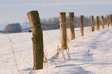Snowy winter landscape with an old woden fence