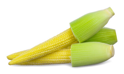 Baby corn isolated on  white background.