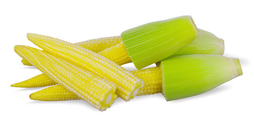 Baby corn isolated on  white background.