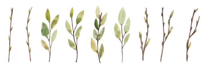 Set of watercolor spring twigs with buds and green leaves.