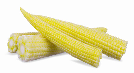 Baby corn isolated on  white background.