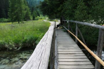 Ponte sul sentiero del lago Nambino in Trentino, viaggi e paesaggi in Italia