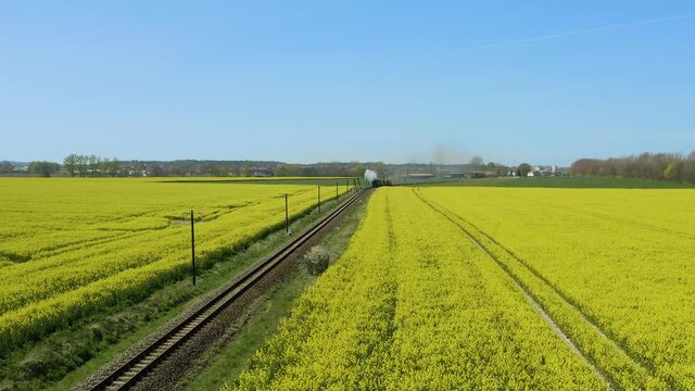 Lufbildaufnahme, B&auml;derbahn Molli f&auml;hrt durch ein Rapsfeld im Ostseebad K&uuml;hlungsborn, Mecklenburg-Vorpommern, Deutschland