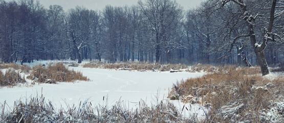 Winter landscape panorama with wilderness forest and frozen pond with snow and bushes. - 408234544