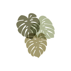 Monstera deliciosa leaves hand drawn vector illustration. Tropical leaf plant illustration isolated on white background. Scandinavian minimalism poster. Modern print.