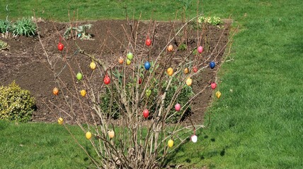 Osterbaum geschmückt mit Ostereier