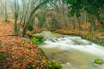 RÍO SABANDO EN ANTOÑANA 