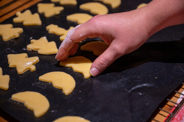 eine Hand legt Kekse zum backen auf ein blech