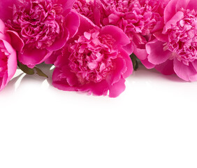 Obraz premium Bouquet of pink peony flowers over white background