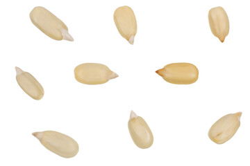 Fototapeta premium Sunflower seeds isolated on white background