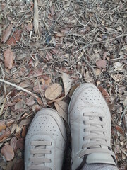 Tennis steps in the dry foliage