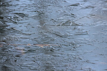 Texture of semi transparent ice covering local river mixed with small tree branches on cold sunny winter day background wallpaper