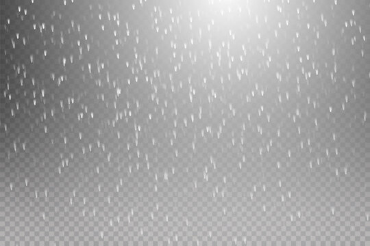 Falling water drops texture.Vector illustration rain isolated on a transparent background. Eps 10