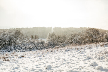 Beautiful winter sunny landscape with snowy hills, winter nature in the village, field and trees in the snow