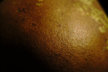 The texture of the skin of a green pear. Closeup.