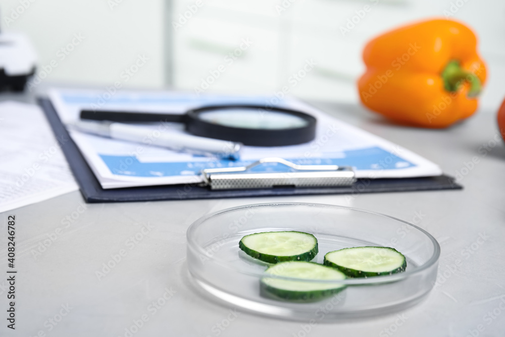 Wall mural petri dish with slices of cucumber on table in laboratory, space for text. poison detection