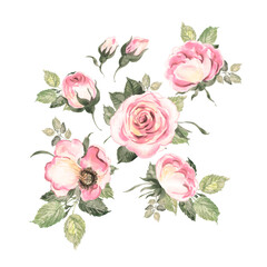  Abstract illustration of painted roses with foliage