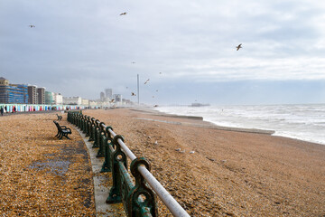 Seagulls flying over Brighton Beach, UK