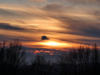 Beautiful sunset over the trees.