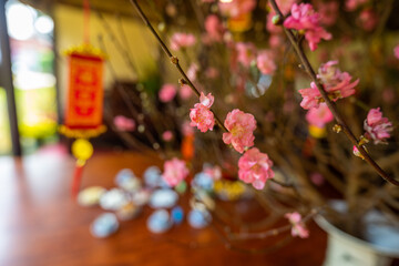 Obraz na płótnie Canvas View of peach branches and cherry blossoms with Vietnamese food for Tet holiday in blurred background.