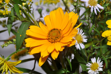 summer bouquet of yellow flowers