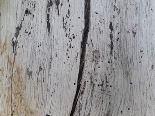 old wood texture 04