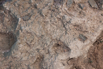 texture of artificial gray brown stone with earth clay
