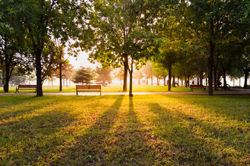 In the early morning, the sun shines on city parks, trees and seats for people to rest. Pure...