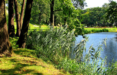 Kisielów , Zarzecze