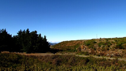 landscape with trees