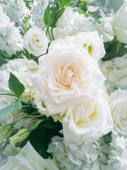 beautiful flowers picture suitable for use in graphics about love, marriage, and Valentine's Day.