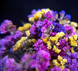 Obraz premium Beautiful bouquet of limonium