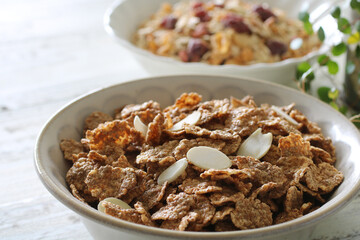 お皿に盛った色々な種類のシリアルやグラノーラ