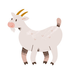 Cute white goat illustration, farm animal drawing, vector clipart isolated