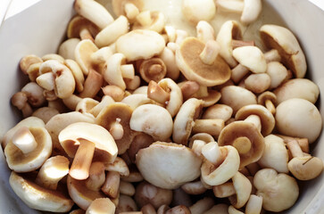 Fresh uncooked mushrooms background