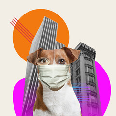 Protection for everyone. Human and dog on urban city background with neon. Copyspace. Modern design. Contemporary art. Creative conceptual and colorful collage surrealism style. Covid, prevention
