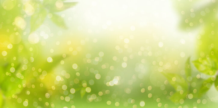 Blurred background in natural landscape and bokeh in spring with lights and bokeh and leaves.