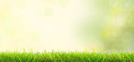 Obraz premium Green grassland with bokeh and blurred landscape in nature.