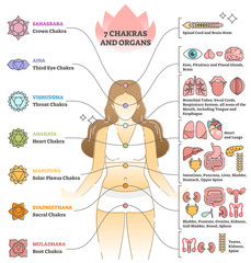 7 chakras and organs explanation as holistic healing basics outline concept - obrazy, fototapety, plakaty