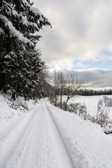 Fototapete bei efototapeten.de bestellen   