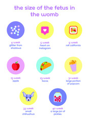 infographics. the size of the flat inside the womb during pregnancy. comparison with different products and items depending on the week.