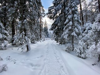 Winterspaziergang