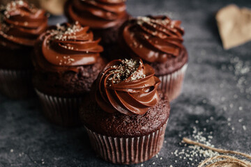 Delicious chocolate cupcakes. Cupcakes on a concrete table. Chocolate biscuit and chocolate ganache